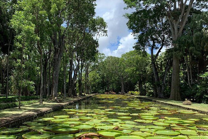 Private Guided Tour of Northern Mauritius with Shopping in Port Louis - Authentic Experiences and Honest Impressions