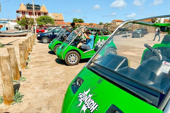 Private Guided Tour of Sal Island | Electric Car with Audio Guide - Authentic Insights from Past Travelers