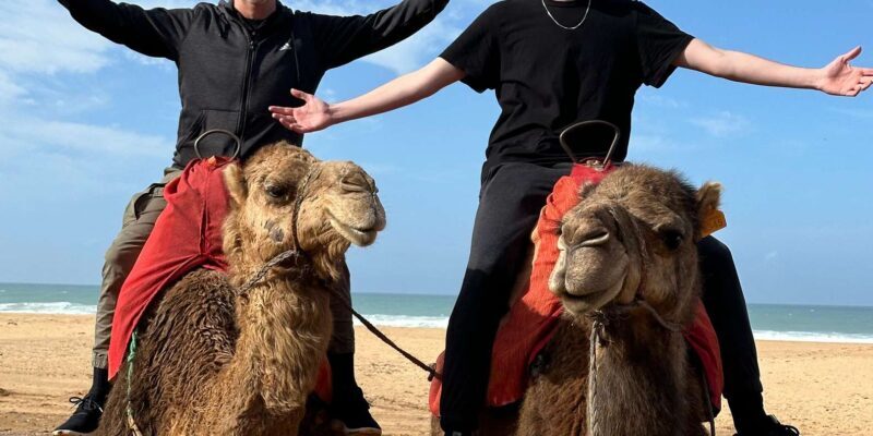 Private guided tour of Tangier from Marbella with said - Who Will Love This Tour?