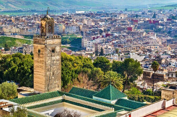 Private Guided Tour of the Medina of Fez and its Surroundings - Who Should Book This Tour?