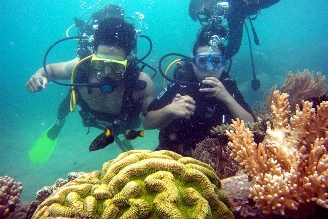 Private Guided Tour Scuba Diving At Marine Protected Area Included Lunch - Introduction