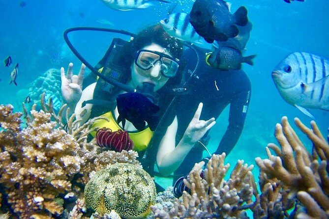 Private Guided Tour Scuba Diving At Marine Protected Area Included Lunch - Why This Tour Offers Great Value