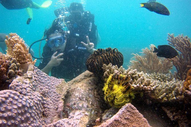 Private Guided Tour Scuba Diving At Marine Protected Area Included Lunch - Who Should Consider This Tour?