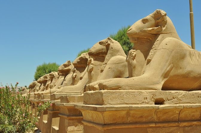 Private Guided tour Valley of the King ,Queen Hatshepsut, &Memnon - FAQ