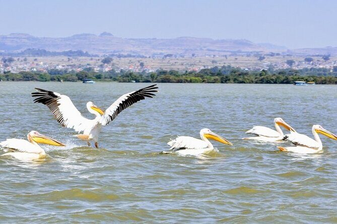 Private Guided Tours To Bahir Dar Lake Tana Monastery & Blue Nile Waterfalls - FAQ