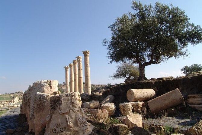 Private Guided Umm Quais and Jerash tour with lunch - What’s Included and What’s Not