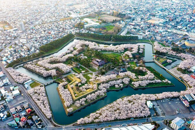 Private Hakodate Night Illumination Tour - Key Points