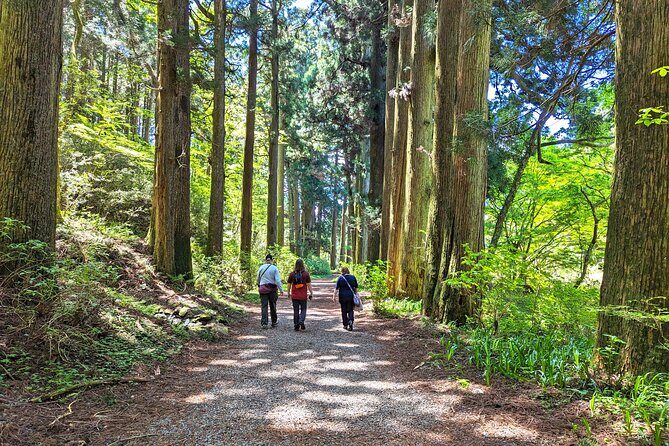 Private Hakone Tour - View of Mt. Fuji, Nature and Culture - Introduction: Why Consider a Hakone Day Tour?