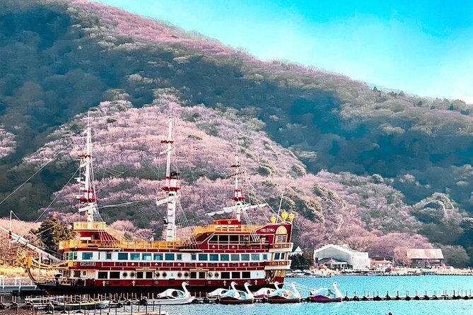Private Hakone Tour - View of Mt. Fuji, Nature and Culture - Practical Tips for Making the Most of the Tour