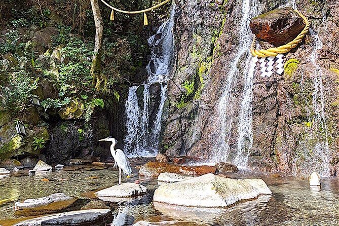 Private Hakone Tour - View of Mt. Fuji, Nature and Culture - The Sum Up