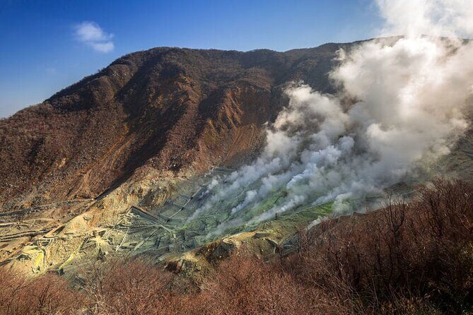 Private Hakone Tour with a Luxury Van - Exploring the Hakone Experience in a Private Luxury Van