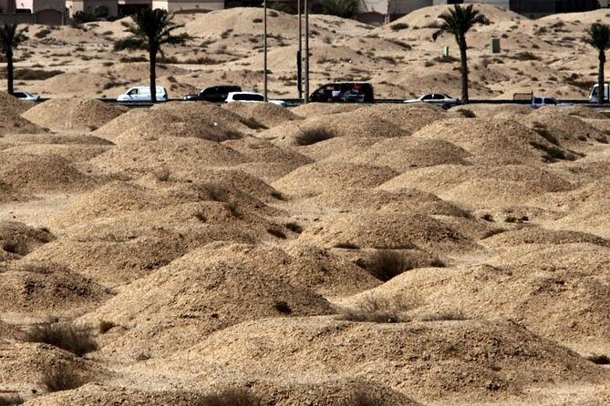 Private Half Day Bahrain Heritage Tour - Comprehensive Review of the Private Half Day Bahrain Heritage Tour