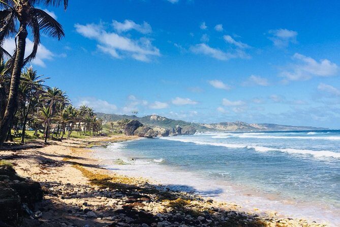 Private Half-Day Barbados Excursion - Key Points