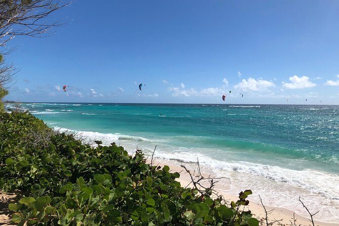 Private Half-Day Barbados Excursion - The Itinerary: What You Can Expect