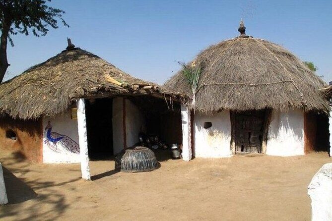 Private Half- Day Bishnoi Village Safari Day Tour In Jodhpur - Final Thoughts