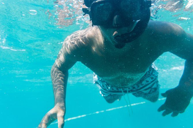 Private Half Day Catamaran Charter - The Snorkeling Experience