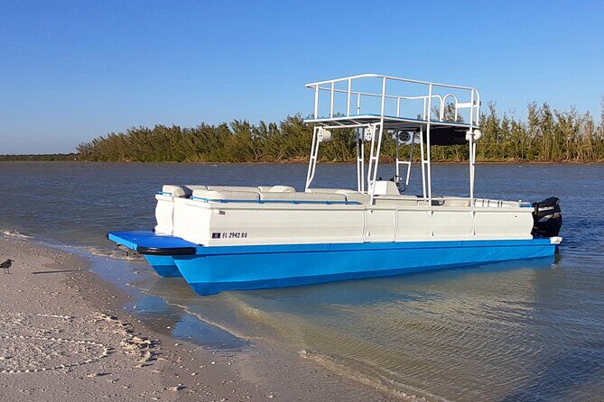 Private Half-Day Charter Tour in Naples, Florida - Key Points