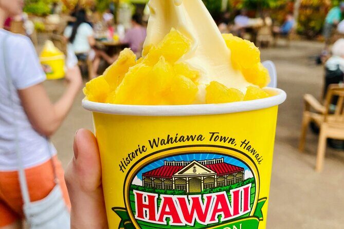 Private Half-Day Circle Island Highlights Tour in Oahu - Exploring the Private Half-Day Circle Island Highlights Tour in Oahu