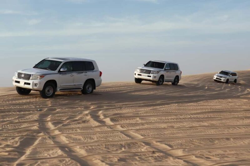Private Half-Day Desert Safari Tour+Camel Ride - Key Points