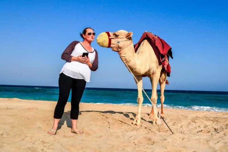 Private Half-Day Desert Safari Tour+Camel Ride - What’s Included and What’s Not