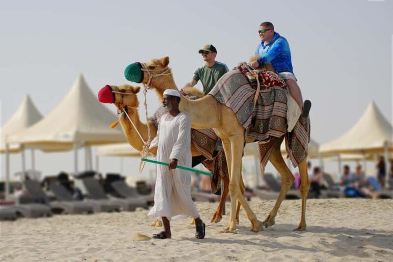 Private Half-Day Desert Safari Tour+Camel Ride - Deep Dive into the Desert Scene