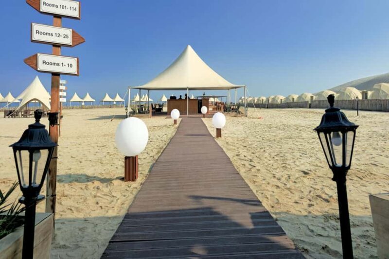 Private Half-Day Desert Safari Tour+Camel Ride - Who Will Love This Tour?