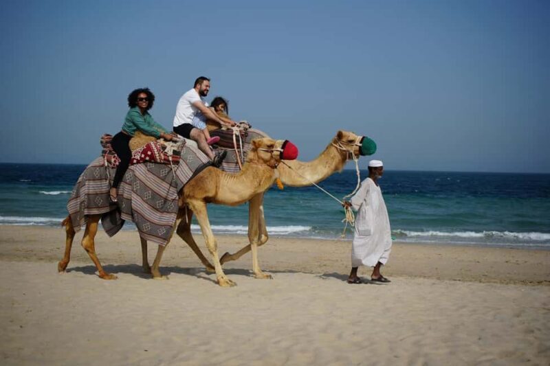 Private Half-Day Desert Safari Tour+Camel Ride - The Sum Up