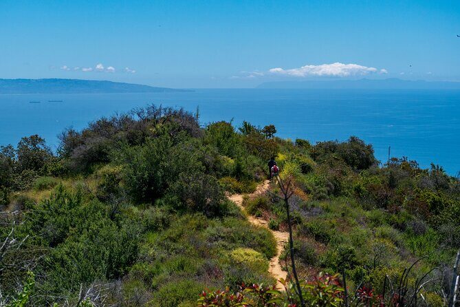 Private Half Day Hidden Hollywood Tour - Authentic Experiences and Traveler Feedback