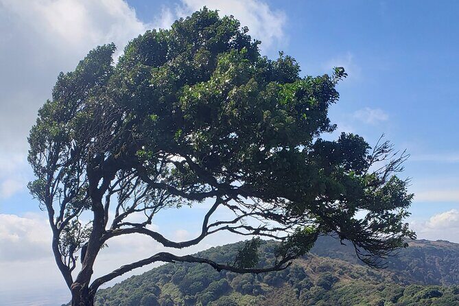 Private Half Day Hike to Ngong Hills from Nairobi - Why This Tour Delivers Real Value
