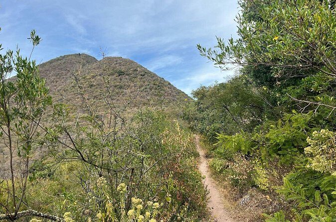 Private Half Day Hiking Experience in Picacho - An Authentic Outdoor Adventure in Oaxaca’s Mountains