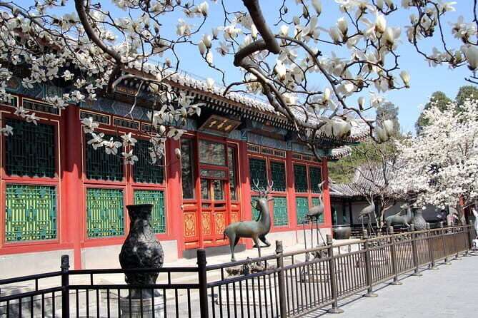 Private Half-day In-depth Walking Tour of Summer Palace - Insights from Real Travelers