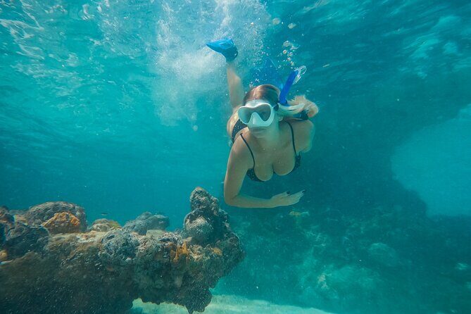 Private Half Day Luxury Snorkeling Charter - An In-Depth Look at the Experience