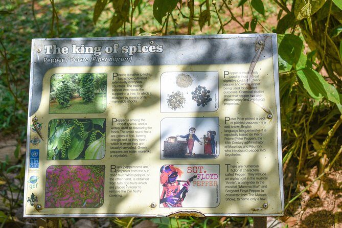 Private Half Day Mahe Island Tour (1-5 persons) - Exploring Mahe Island: A Detailed Overview