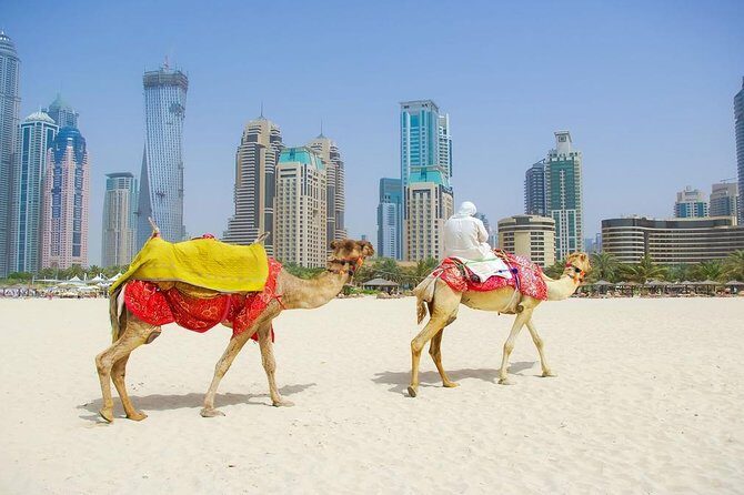 Private Half Day Modern Dubai City tour with Lunch - Why Choose This Tour?