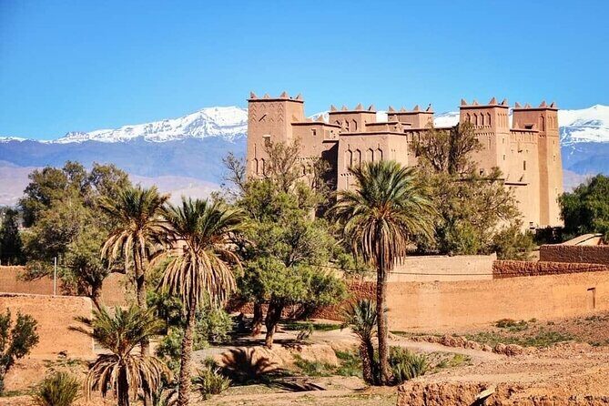 Private half-day mountain bike tour discover Palmeraie Skoura - The Sum Up