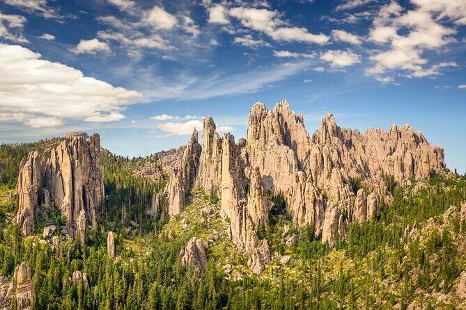 Private Half Day Mt Rushmore & Black Hills Tour - What’s Included & What’s Not