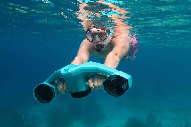 Private Half day REVOLVE Boat & Snorkeling tour in Bonaire - The Sum Up: Who Should Consider This Tour?