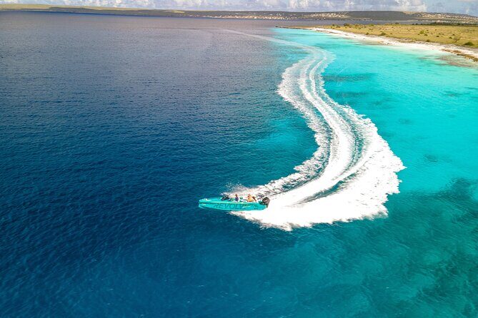 Private Half day REVOLVE Boat & Snorkeling tour in Bonaire - Frequently Asked Questions