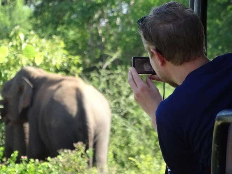 Private Half-Day Safari at Yala National Park - Analyzing the Value: Is It Worth It?