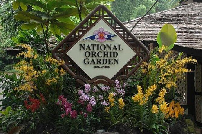 Private Half Day Singapore City Tour with Botanical Orchid Garden - Practical Tips for Travelers