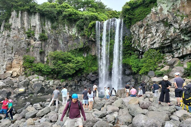 Private Half Day South and West Tour in Jeju Island - Wrap-Up and Return