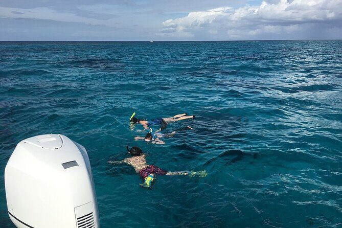 Private Half Day Stingray City, Snorkeling and Starfish Beach Tour - The Sum Up