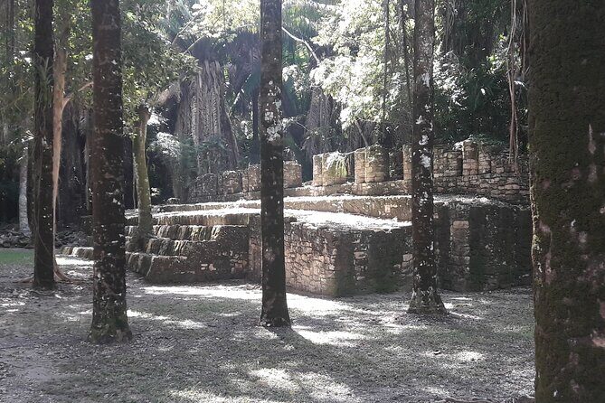 Private Half Day Tour in Kohunlich Archaeological Zone - Practical Tips for Visitors