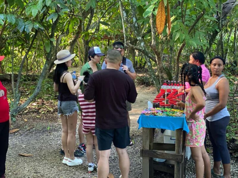 Private Half Day Tour in Punta Cana-Higüey with Local Guide - Key Points