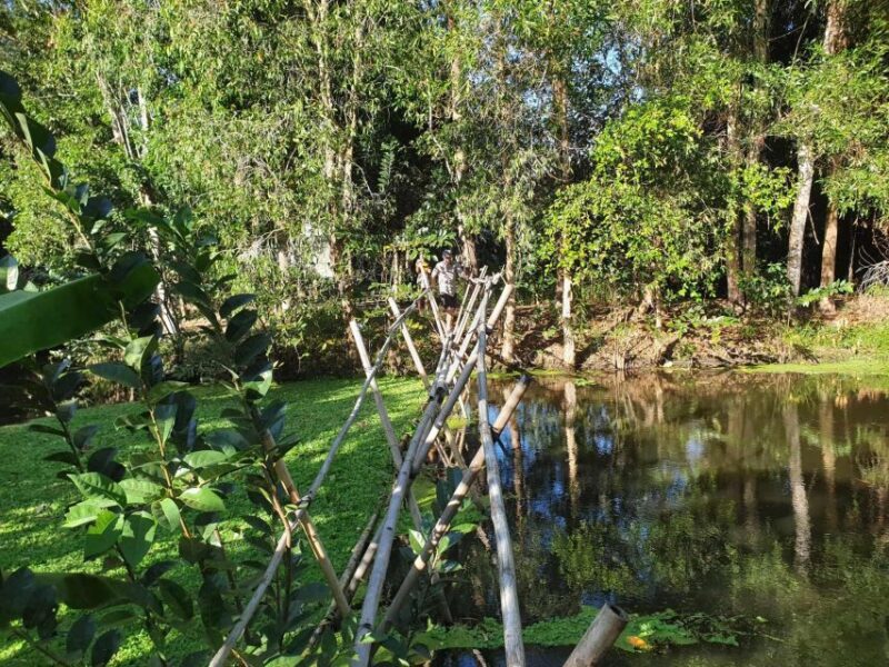Private half day tour - Nature, wildlife & forest in Can Tho - What We Loved and What to Consider