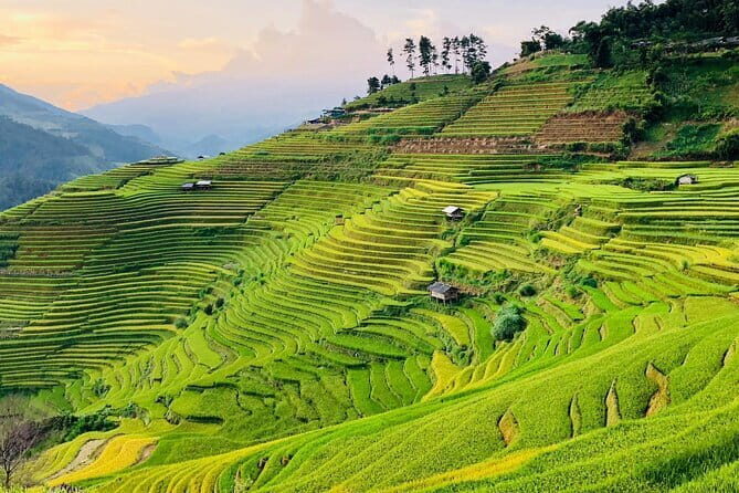 Private Half-Day Tour of Villages, Terrace Rice Fields by Car - An In-Depth Look at the Tour Experience