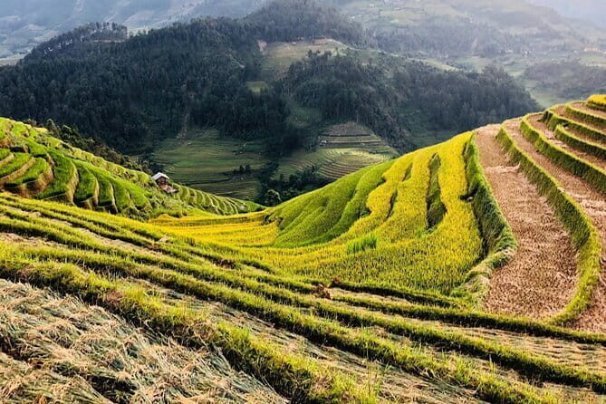 Private Half-Day Tour of Villages, Terrace Rice Fields by Car - The Sum Up