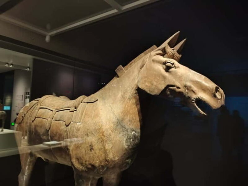 Private Half-Day Tour of Xi'an Terracotta Warriors - Savoring Local Flavors: The Curated Meal