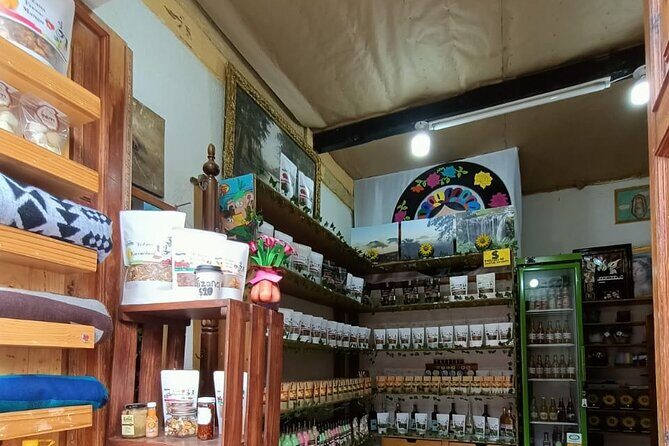 Private Half-Day Tour of Zacatlan and Chignahuapan from Puebla - Final Thoughts