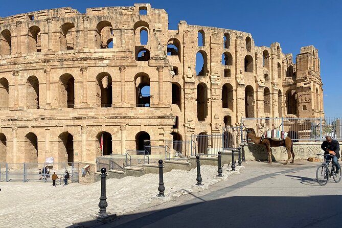 Private Half Day Tour Roman Coliseum EL JEM - Value for Money